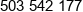 Funtasty Phone 1