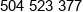 Bim Group Phone 1