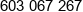 Pro Novitate Phone 1