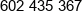 Meritum Skalecki Phone 1