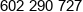 Genau Phone 1