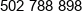 Dottore Phone