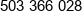 Pawel Glazewski Phone 1