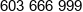 Fitzone Phone 1