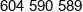 Stolarz Zbigniew Brylowski Phone 1