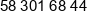 Pameni Polska Phone 1