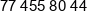 Eltrans Phone 1