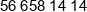 Verita Phone