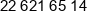 Choragiew Stoleczna Zwiazku Harcerstwa Polskiego Phone 2