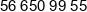 Torimpex Trade Phone 2