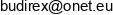 Budirex Ireneusz Opitz Email address
