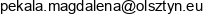 Global1 W Likwidacji Email address