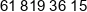 Floh Phone 1