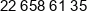 Acenco Group Phone 1