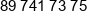 Termik Phone 1