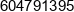 P P H U Martex Marcin Olczak Phone 1