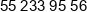 Elit B Gancarz K Blaszkowski Phone 2