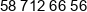 Dinex Polska Phone 1