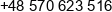 Dennis Melentyev Software Solutions Phone