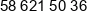 Petrolinvest Phone