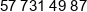 Pirn Phone