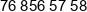 Piast Business Service Phone 1