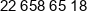 Flt Polska Phone