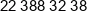 Dituel Phone 1