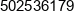 Mateusz Grala Software Development Phone 1