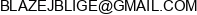 Blazej Blige Uslugi Budowlane Adres e-mail