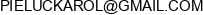 Kp Services Karol Pieluc Adres e-mail