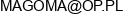 F H U P Magoma Marek Godyn Email address
