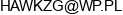 Marcin Tomalak Click Service Corporation Email address