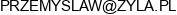 Behende Consulting Przemyslaw Jurgiel Zyla Email address