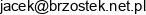 Brzostek Adres e-mail