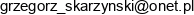 Grzegorz Skarzynski Gs Business Consulting Management Adres e-mail