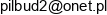 Przedsiebiorstwo Budowlane Pilbud 2 Krzysztof Dzierlega Email address