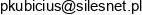Silesnet Polska Email address
