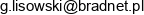Bradnet Grzegorz Lisowski Adres e-mail