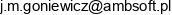 Amb Software Email 1