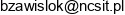 Nero Computing System Email address
