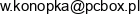 Infoconsulting Uslugi I Doradztwo Informatyczne Wlodzimierz Konopka Adres e-mail