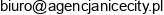 Nicecity Email address
