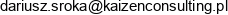 Kaizen Consulting Email 1