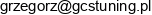 Grzegorz Lesnicki Gcs Email address