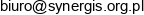 Synergis Bdt Email address