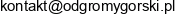 Systemy Odgromowe Marek Gorski Email address