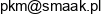 Pkm Adres e-mail