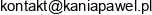 Biuro Szkolen I Doradztwa Pawel Kania Email address