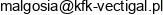 Kancelaria Finansowo Ksiegowa Vectigal Malgorzata Nikiel Email address